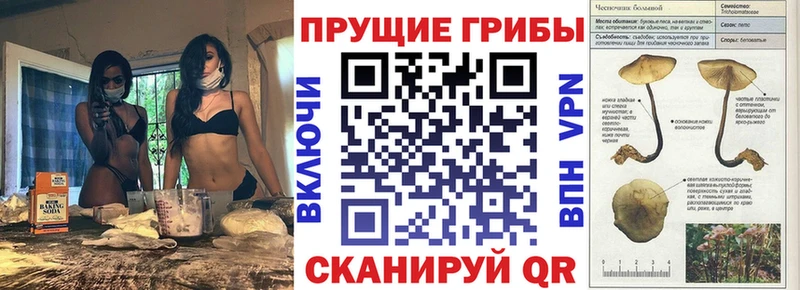 закладки Темрюк Галлюциногенные грибы мухоморы